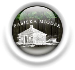 Pasieka Miodek